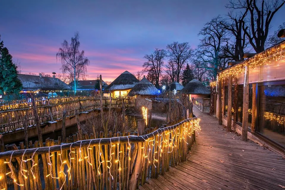 Vánočně nasvícená zoo