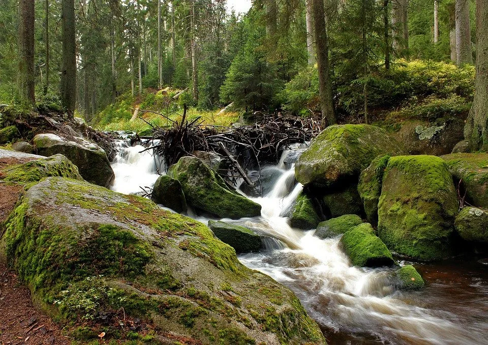 Šumava