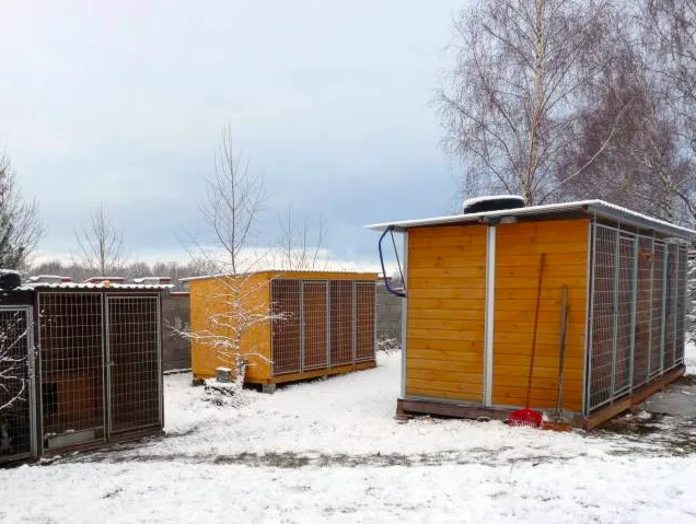 Marleyho novým domovem se stane útulek Animal rescue v Budějcích.