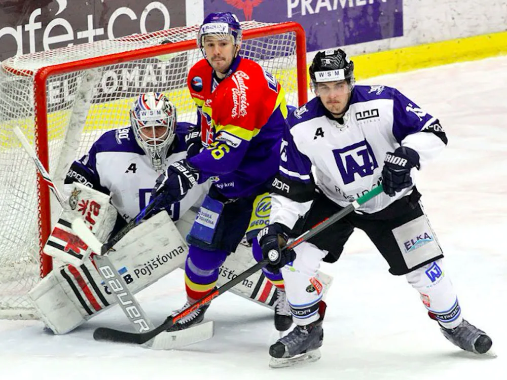 Martin Heřman