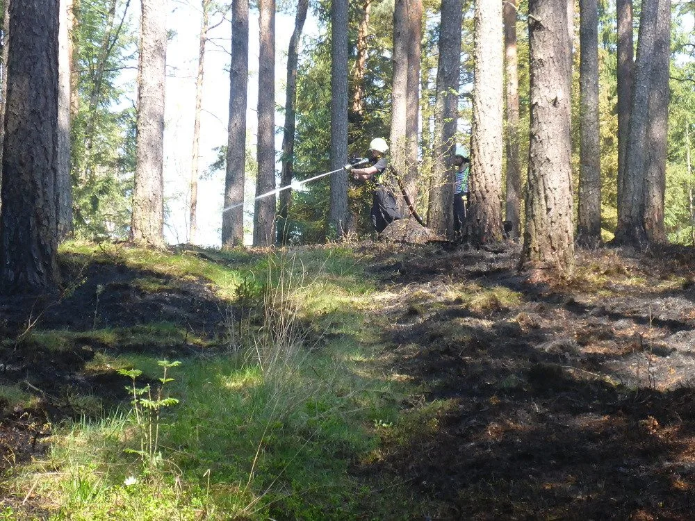 Hasiči likvidovali požár šestnáctihektarového lesa na Českokrumlovsku