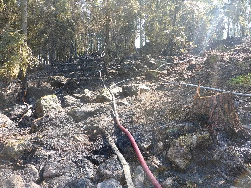 Hasiči likvidovali požár šestnáctihektarového lesa na Českokrumlovsku
