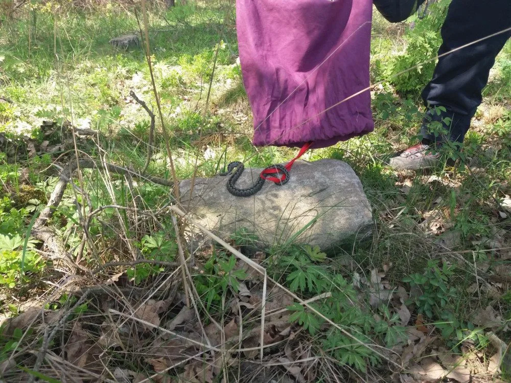 Zmije se schovala do jednoho ze skladů firmy.
