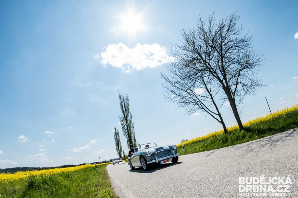 Rallye Křivonoska
