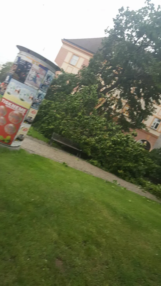 Na Senovážním náměstí spadl strom.