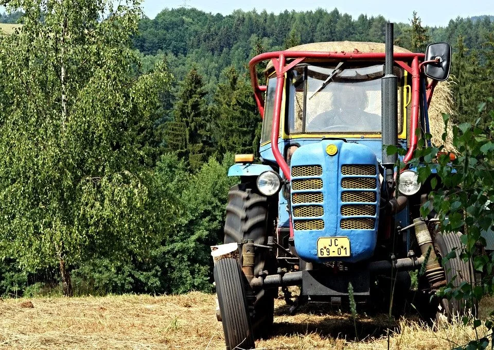Ilustrační foto.