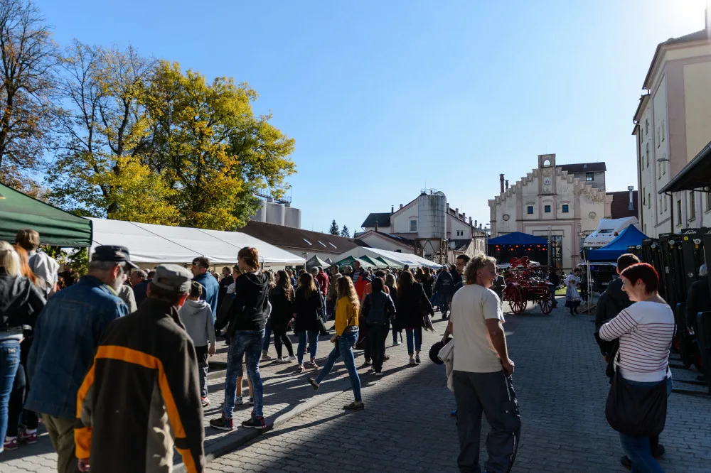 Ilustrační foto.
