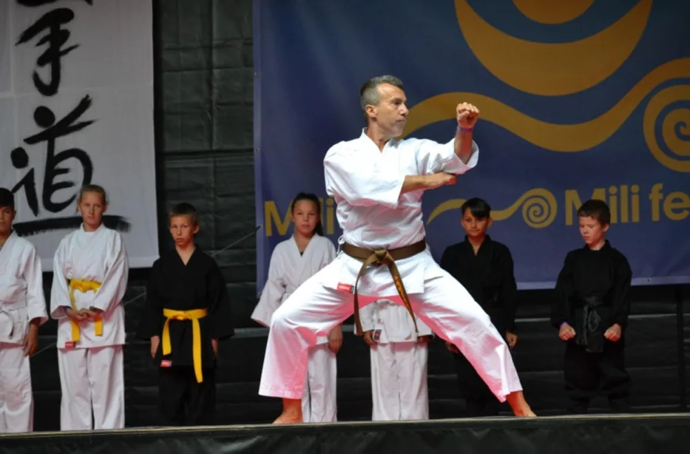 Mili fest