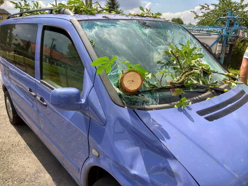 U Tábora spadl strom na projíždějící auto.