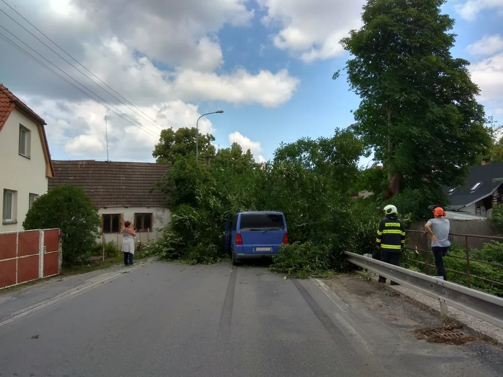 U Tábora spadl strom na projíždějící auto.
