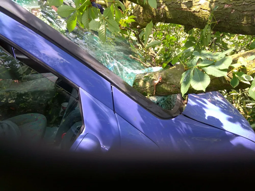 U Tábora spadl strom na projíždějící auto.