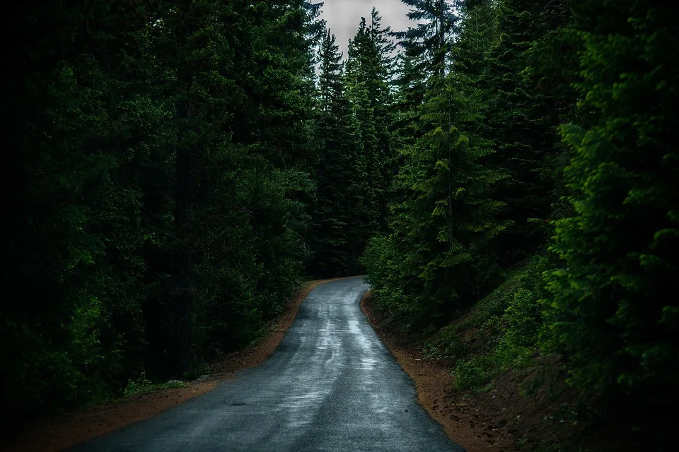 Ilustrační foto.