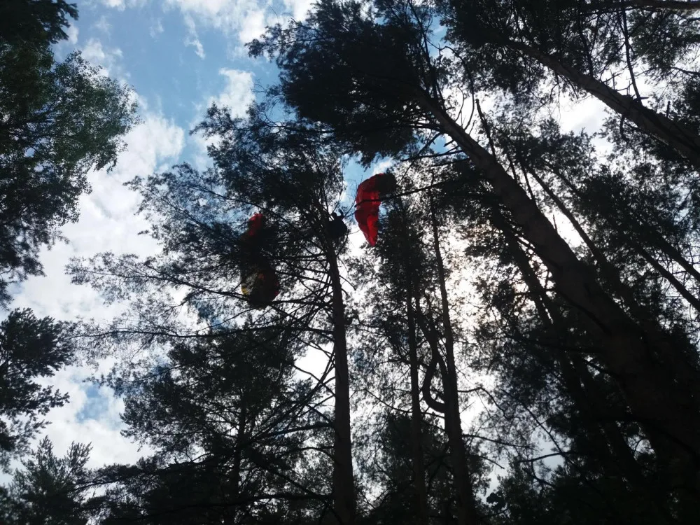 U Dlouhé Lhoty na Táborsku uvízl na stromě paraglidista. Museli ho vysvobodit hasiči.