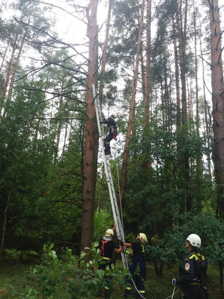 U Dlouhé Lhoty na Táborsku uvízl na stromě paraglidista. Museli ho vysvobodit hasiči.