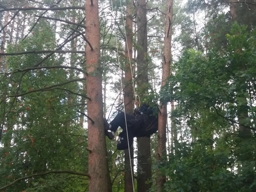 U Dlouhé Lhoty na Táborsku uvízl na stromě paraglidista. Museli ho vysvobodit hasiči.