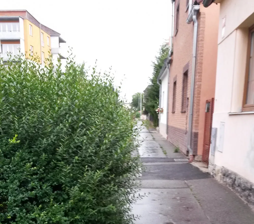 V ulici Františka Ondříčka na sídlišti Vltava se budou opravovat chodníky.