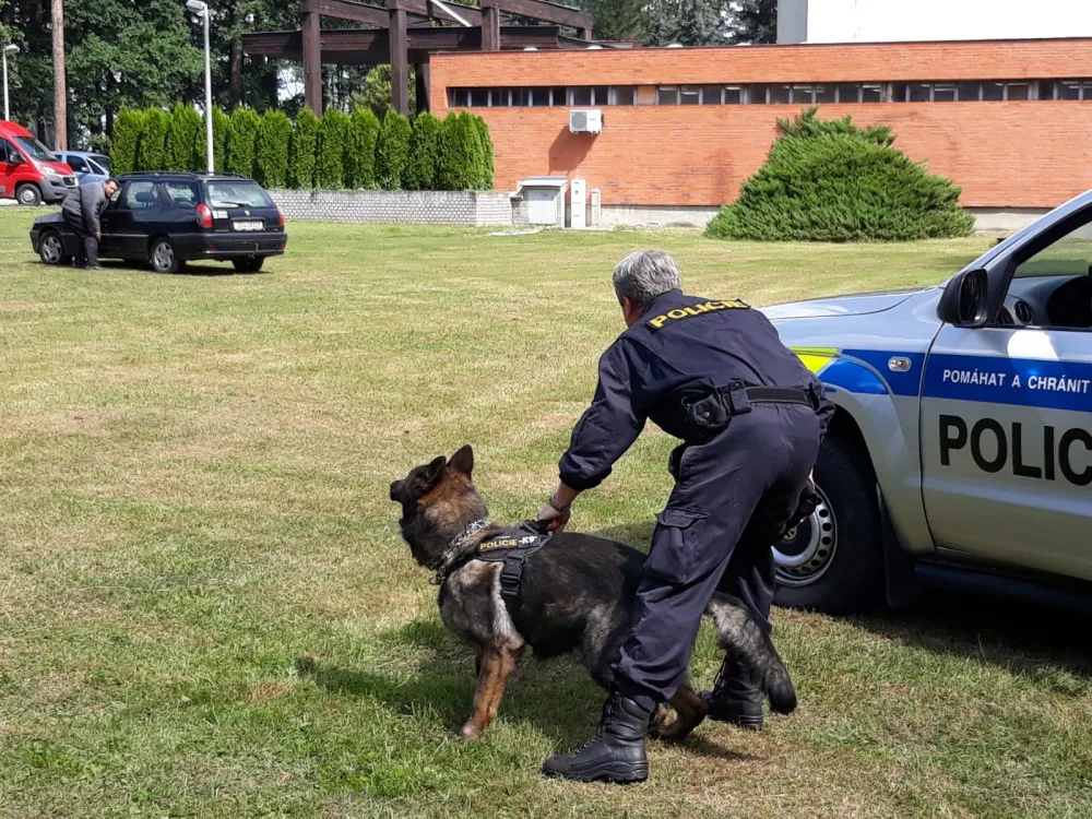 Ukázka práce s policejním psem.