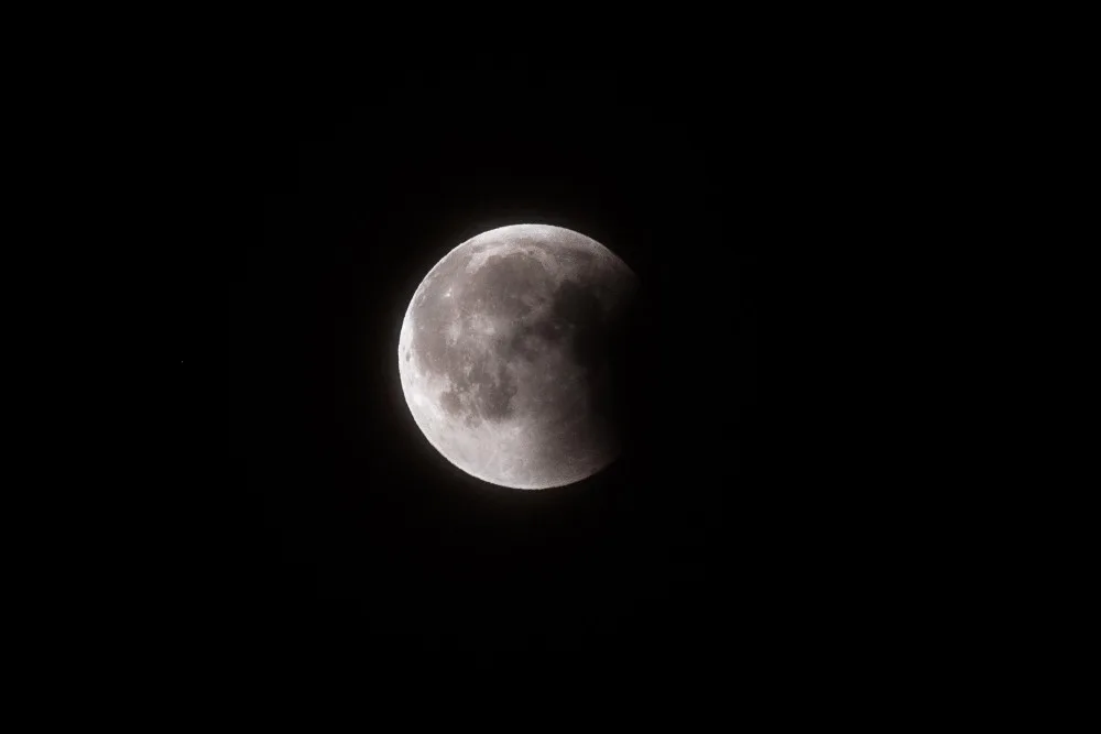DSC_6340