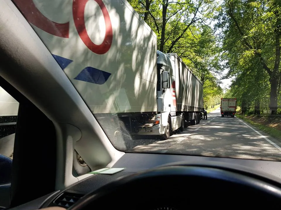 Tři dopravní nehody uzavřely silnici 603 mezi Chotýčany a Borkem.