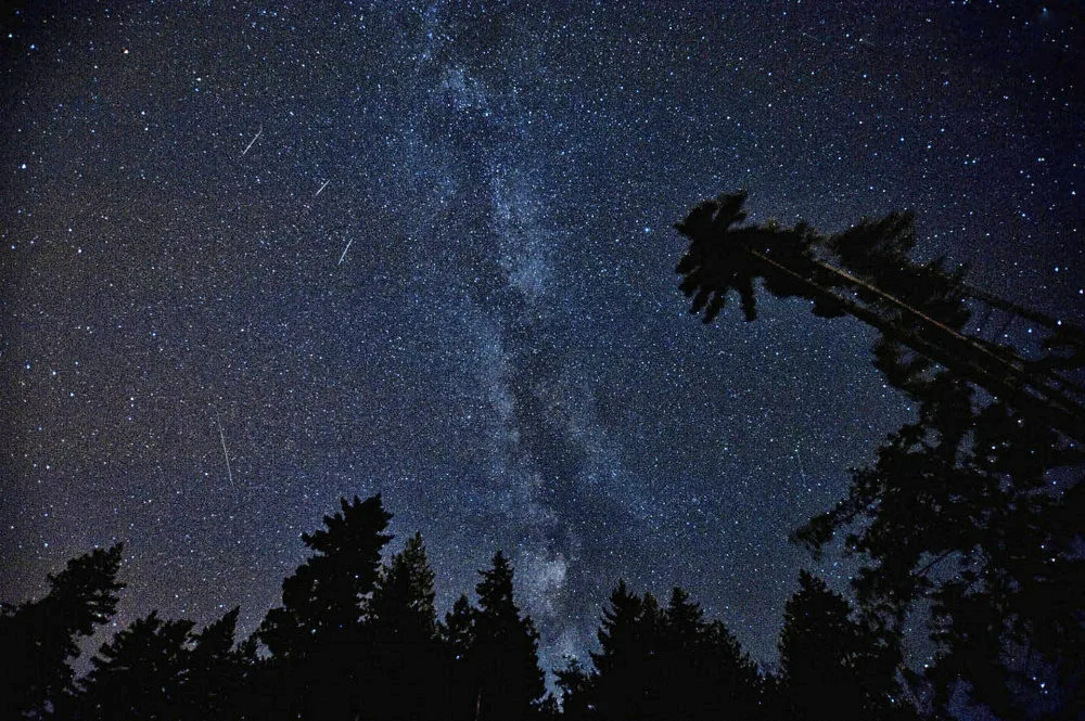 Ilustrační foto.