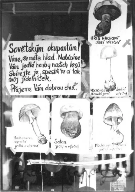 Srpen 1968 v Českých Budějovicích.