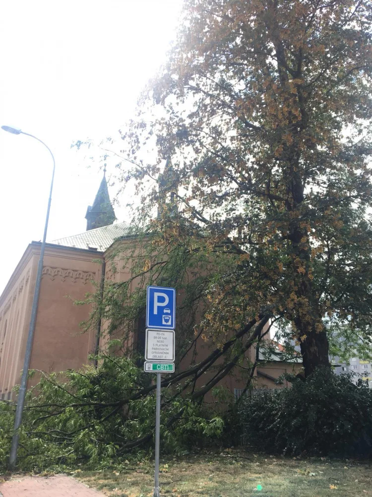 Průtrž mračen doprovázená silnějším větrem se prohnala dnes odpoledne Českými Budějovicemi.