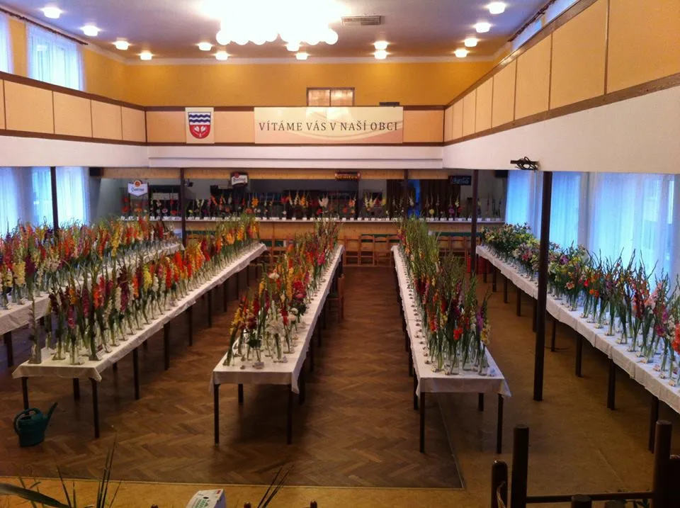 Třetí ročník mezinárodní výstavy mečíků v Neznašově na Českobudějovicku.