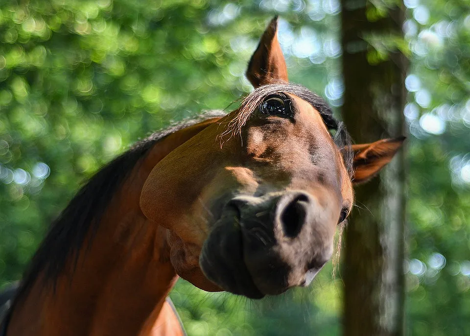 Ilustrační foto.