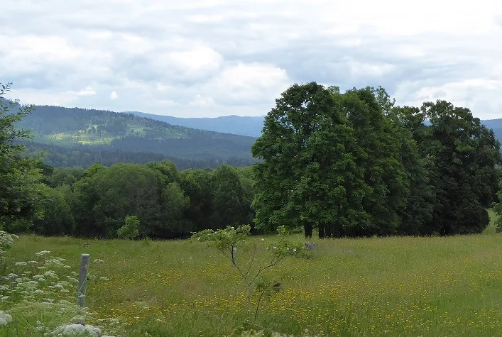 České Žleby