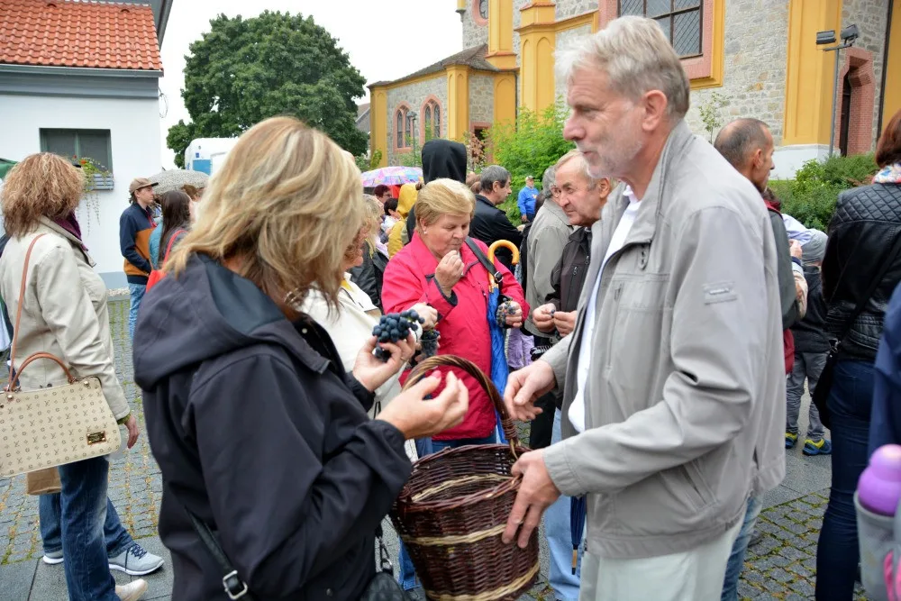Slavnosti vína na Hluboké nad Vltavou