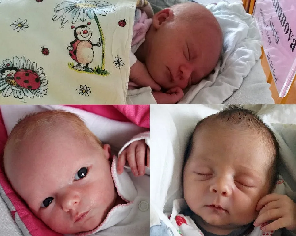 Červencová drbňátka: Aneta Kuthanová, Adéla Hriňová a Alena Růžičková.