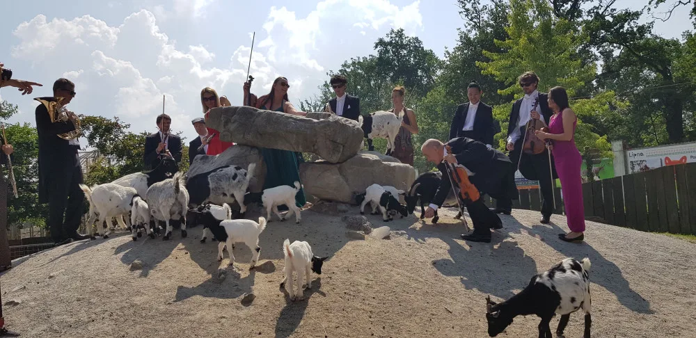 Jihočeská filharmonie natočila klip v Jihočeské zoo Hluboká nad Vltavou.