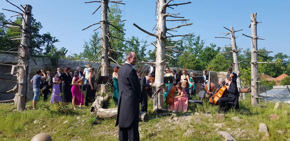 Jihočeská filharmonie natočila klip v Jihočeské zoo Hluboká nad Vltavou.