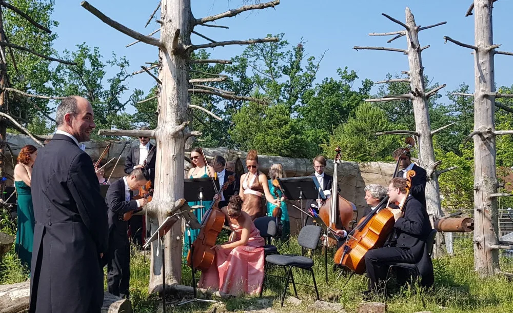 Jihočeská filharmonie natočila klip v Jihočeské zoo Hluboká nad Vltavou.