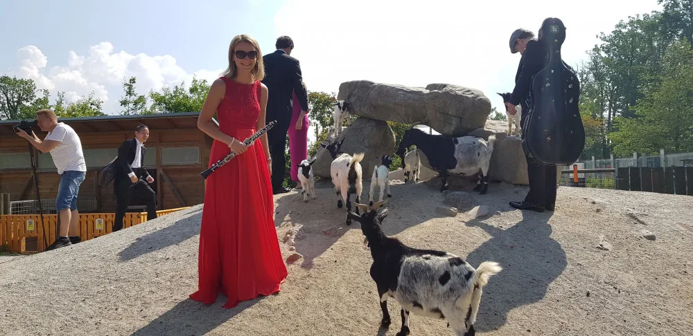Jihočeská filharmonie natočila klip v Jihočeské zoo Hluboká nad Vltavou.