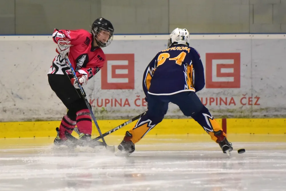 Mezinárodní ženský hokejový turnaj International Dragon 2018 se uskutečnil v českobudějovickém Hokejovém centru Pouzar