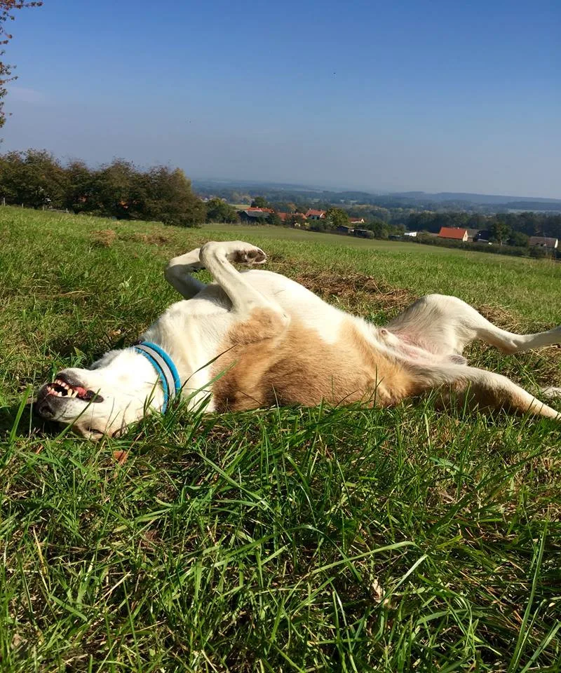 Foto: Zuzana Říhová