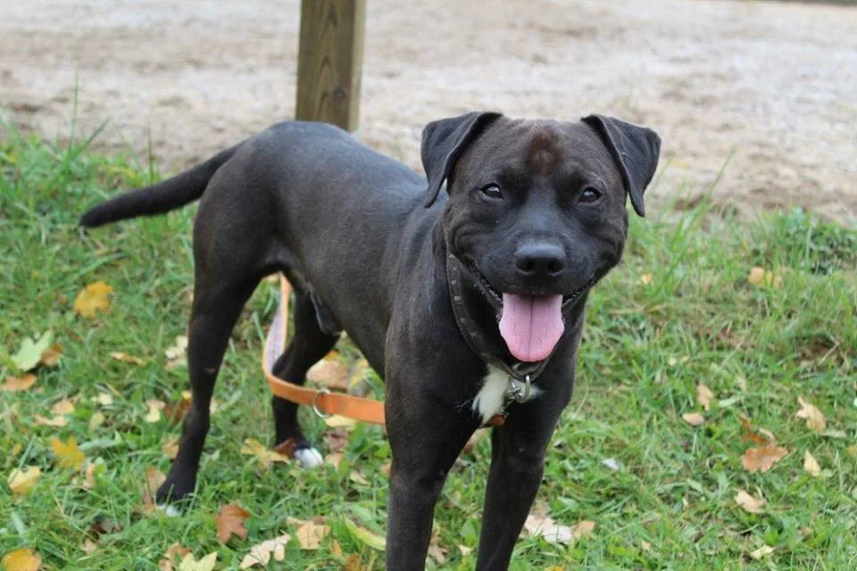 Max