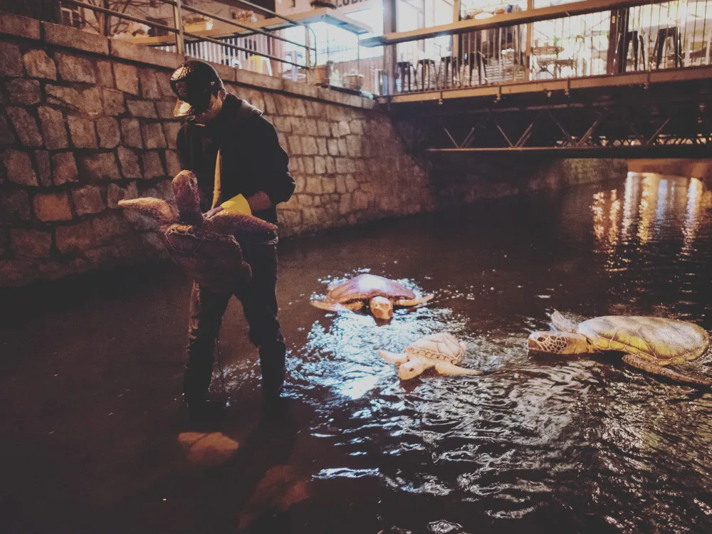 Želvy v Mlýnské stoce nejsou jen výkřikem do tmy. Představují projekt LOVE