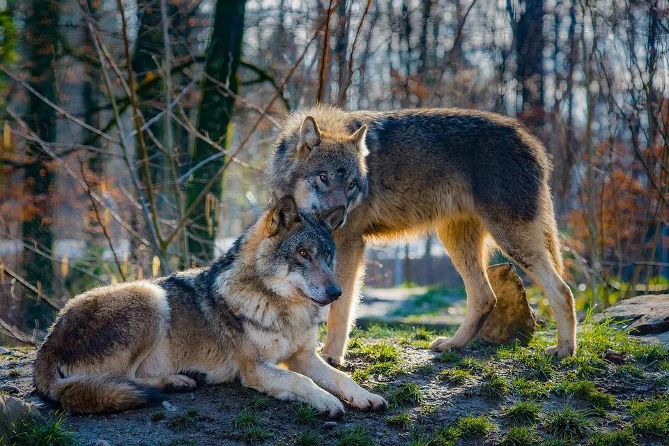 Ilustrační fotografie