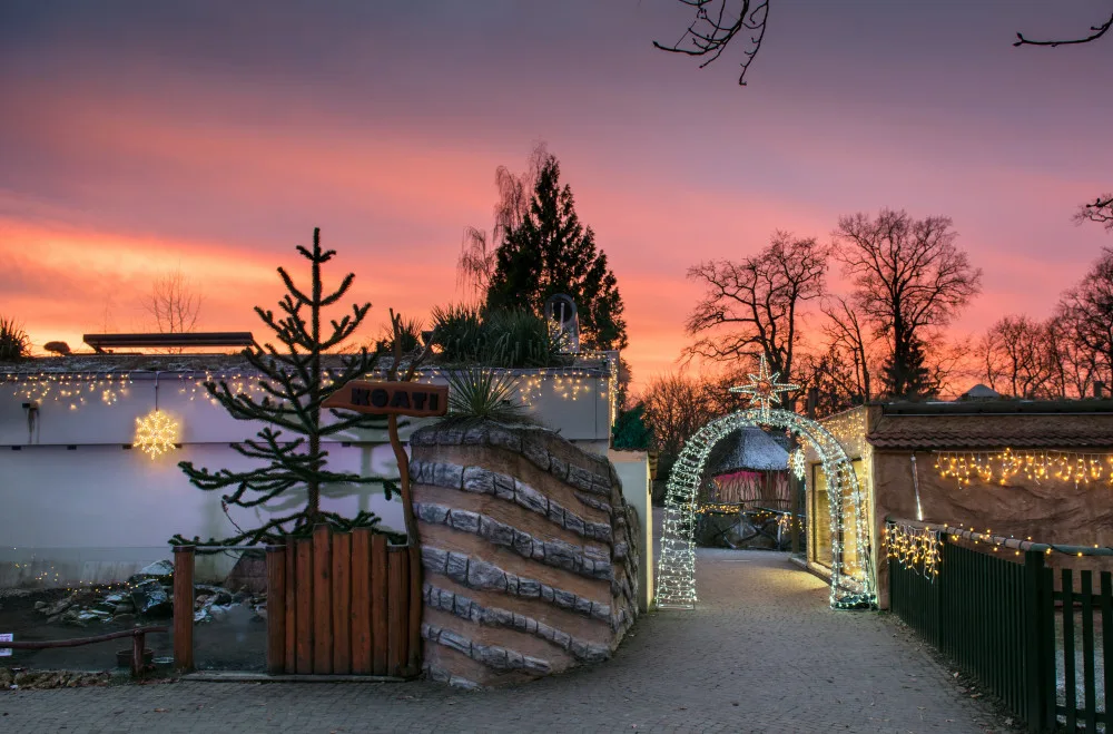 V Nasvícené zoo se objeví lední medvěd nebo tučňáci