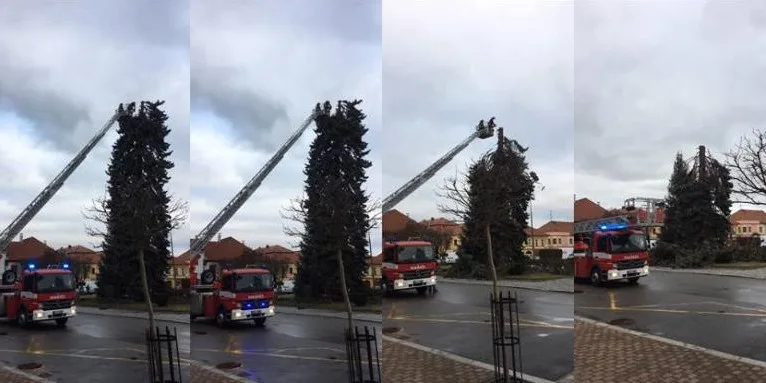 Stromek Netolice