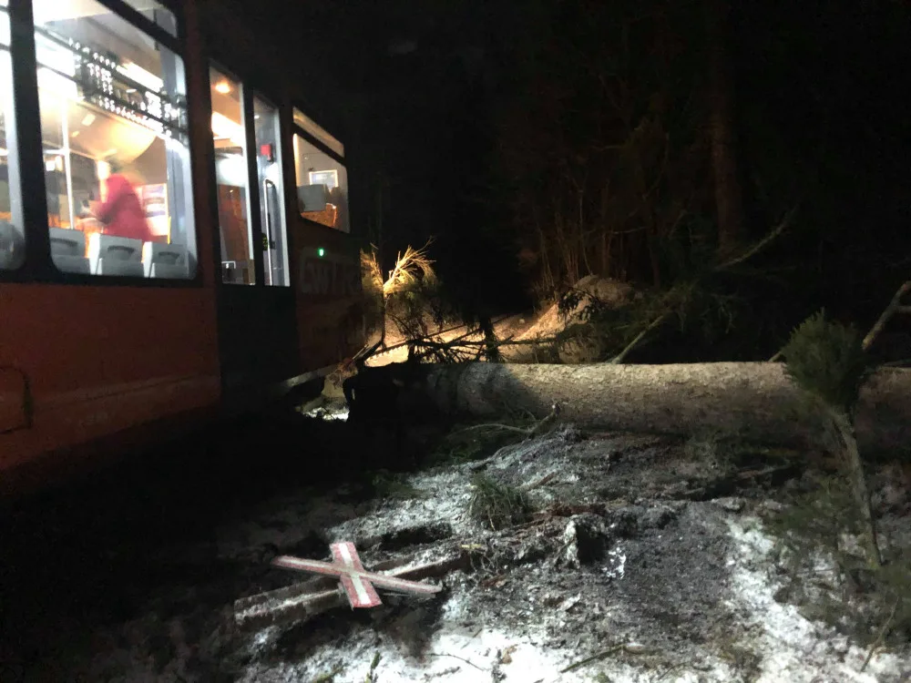 U Malenic na Strakonicku narazil vlak do stromu. Nikdo není zraněn