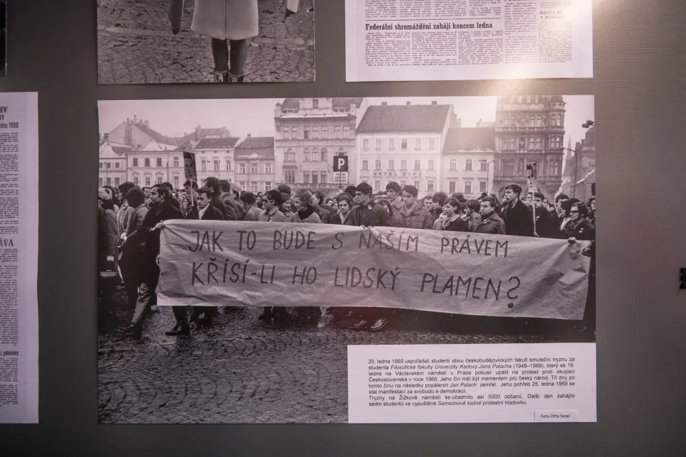 Protestní hladovka