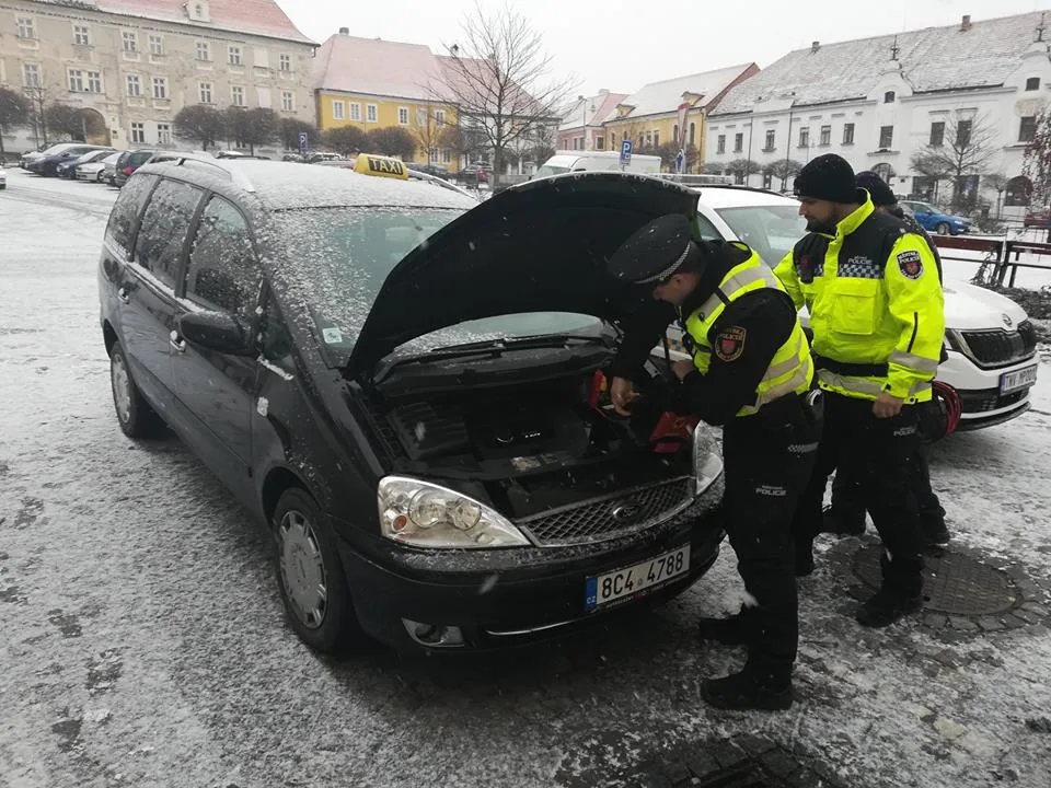 Strážníci v akci