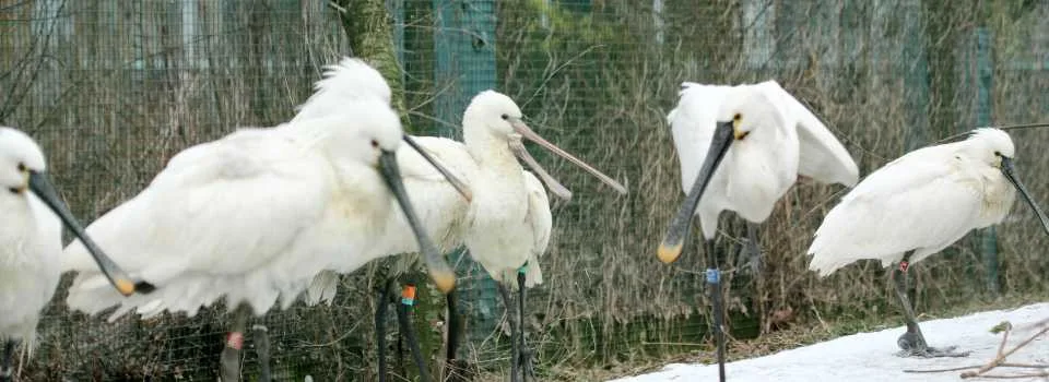 Vyhrajte vstupenky na večerní komentovanou prohlídku v Zoo Hluboká