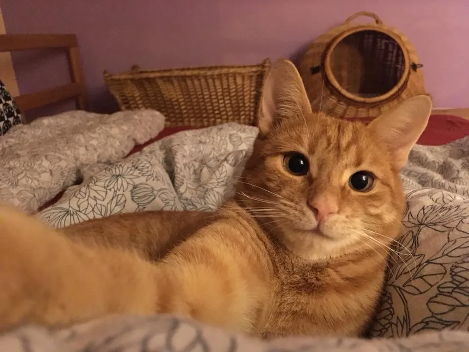 Karamel