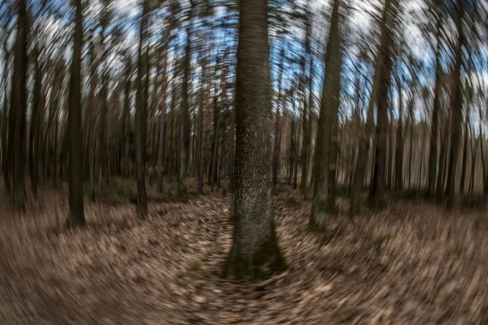 Branišák stále přichází s něčím zajímavým