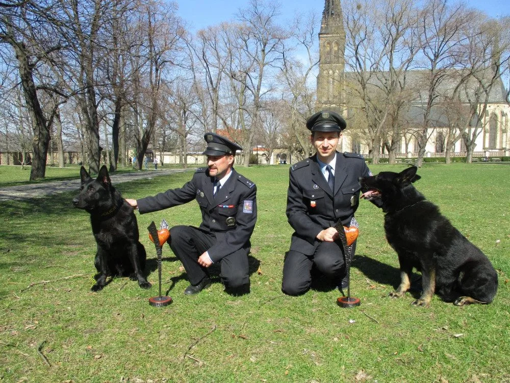 Statečné psí srdce