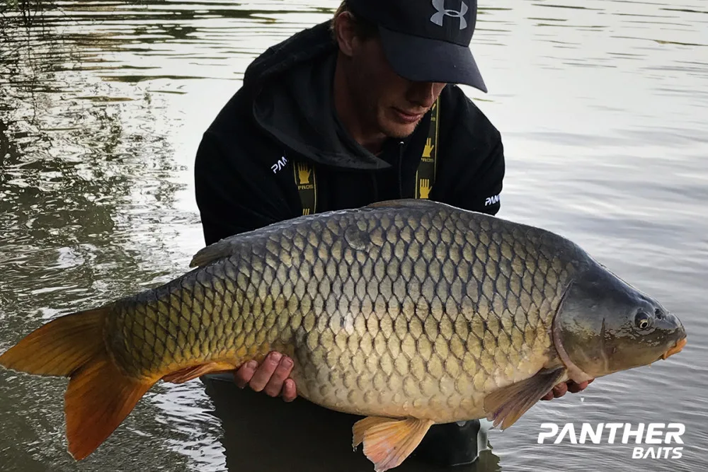 Boilies od Panther Baits si oblíbili i hokejisté Václav Nedorost a Miloslav Čermák